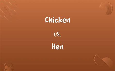 Chicken vs. Hen: Know the Difference