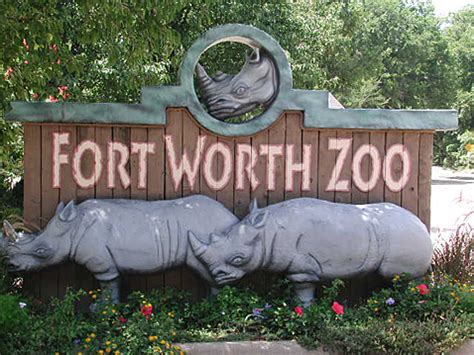 Hail kills some animals at Fort Worth Zoo | WFAA.com