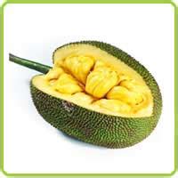 Jackfruit gallery | Jackfruit varieties | Blackgold, Cheena, Cochin, Dang rasimi