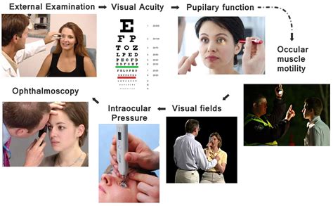 How to perform a Clinical Eye Exam - IVLine