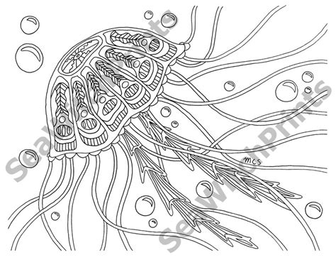 Ocean Invertebrates, Printable Coloring Pages, Set of 3, DIGITAL DOWNLOAD, Marine Life, for ...