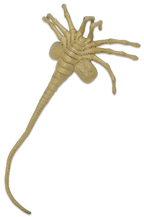 Alien 51355 Life Size Facehugger Foam Prop Replica: Buy Online in UAE at desertcart