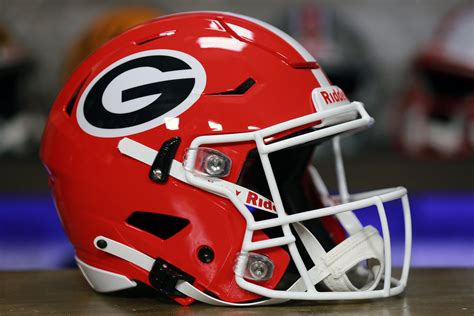 Georgia Bulldogs Riddell SpeedFlex Authentic Helmet – Green Gridiron, Inc.