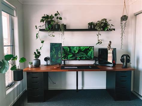 Natural Gaming Setup Idea with Plants