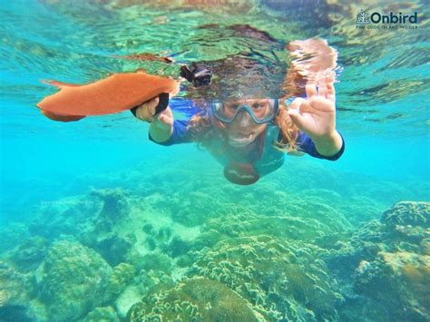 PHU QUOC SNORKELING – DIVING - OnBird | Phu Quoc Soft-adventure Journeys