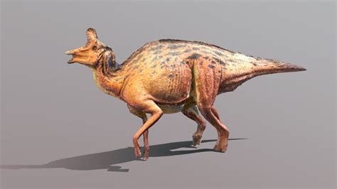 Lambeosaurus 3D models - Sketchfab