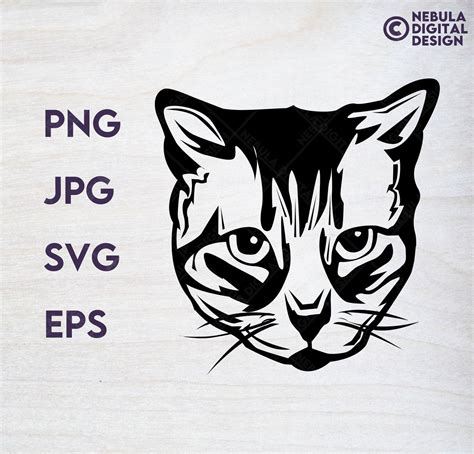 Cat Svg for Cricut Cute Cat Svg Cat Vector Cool Cat Png - Etsy