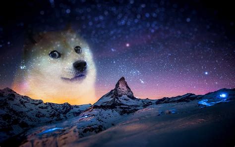 Doge Meme Wallpapers - Wallpaper Cave