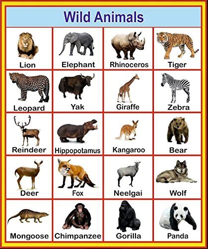 Wild Animals Pictures Chart