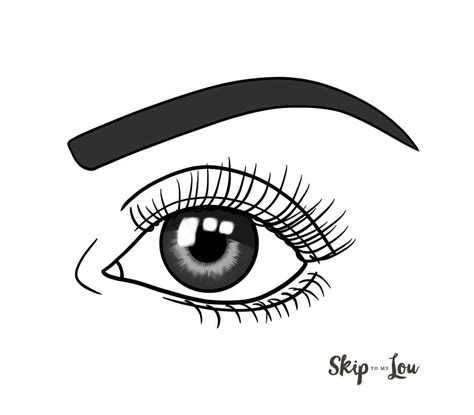 How To Draw A Human Eye Step By Step