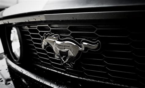 Mustang Symbol Wallpaper Hd