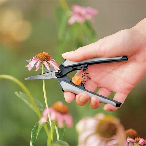 5 Best Garden Scissors of 2024 | Family Handyman