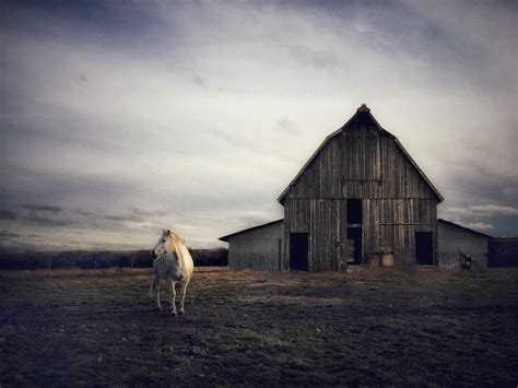 8 Tips For Incredible Rural Landscape Photography On iPhone