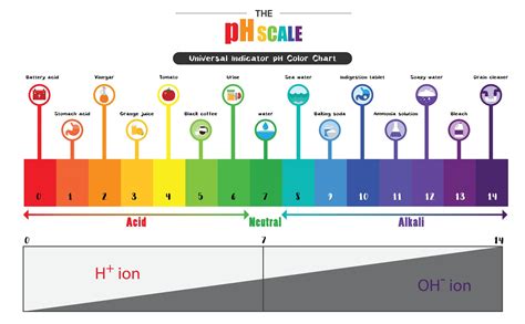 How To Make A Ph Scale