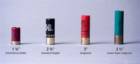 Different Types Of 12 Gauge Shotgun Shells