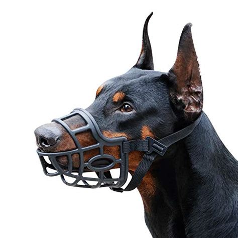 Best Muzzle For Dogs With Teeth