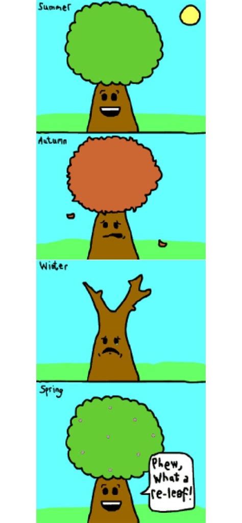 Tree Puns – Punpedia