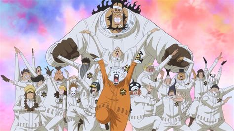 Image - Heart Pirates Members.png | One Piece Wiki | FANDOM powered by Wikia