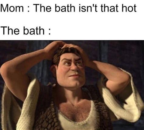 shrek hella fine : r/memes