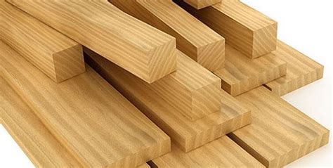 Hardwood Vs Softwood - 15 Advantages & Disadvantages