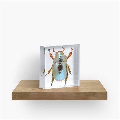 "Rainbow Jewel Scarab Beetle" Acrylic Block by seasofstars | Redbubble