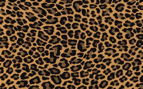 Leopard Pattern Wallpapers - Top Free Leopard Pattern Backgrounds - WallpaperAccess