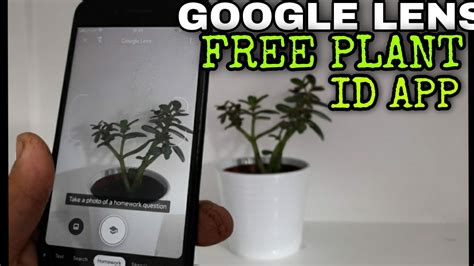 GOOGLE LENS - A FREE PLANT Identify App that Most Mobile Phones will already have. 🌱🌷 - YouTube