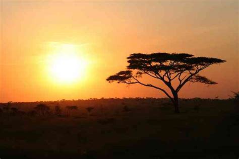 Sixteen Sublime Safari Sundowner Spots | African Budget Safaris