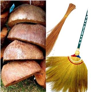 Ano Ang Walis Na Gawa Sa Dahon Ng Niyog