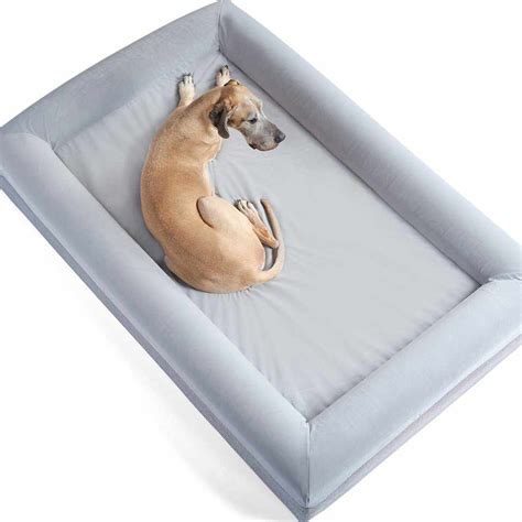 The Best 10 Waterproof Dog Beds (2024) | UKPets