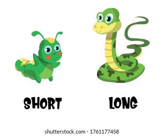 2 Short Long Caterpillar Vector Images, Stock Photos & Vectors | Shutterstock