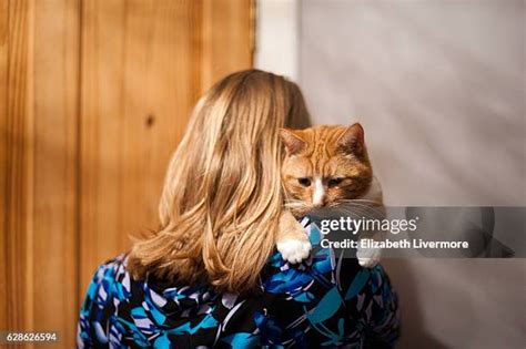 624 Orange Cat Cuddling Stock Photos, High-Res Pictures, and Images ...