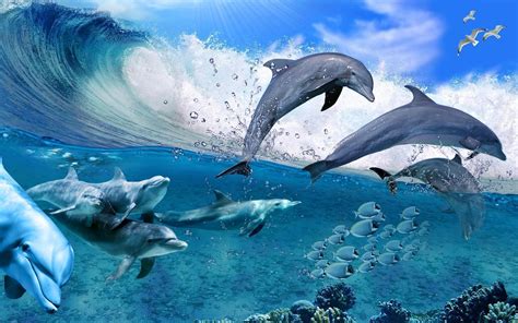 Dolphins Wallpapers - Wallpaper Cave