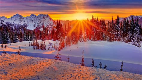 Winter Snow Sunset Wallpaper