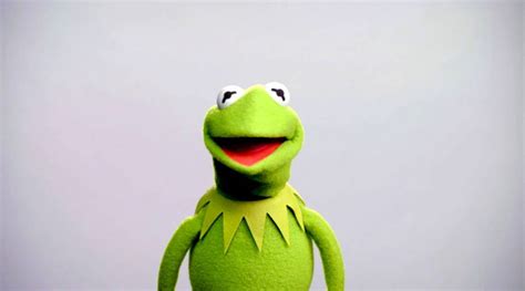 [100+] Kermit The Frog Wallpapers | Wallpapers.com