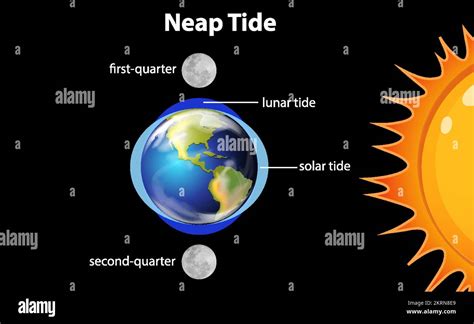 12+ Neap Tide Diagram - AlisterKallen