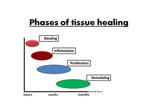 Muscle tears: classification and treatment