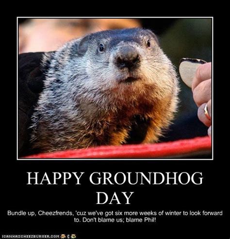 Groundhog Day Funny Quotes. QuotesGram