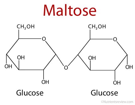 Reducing sugars : r/Mcat