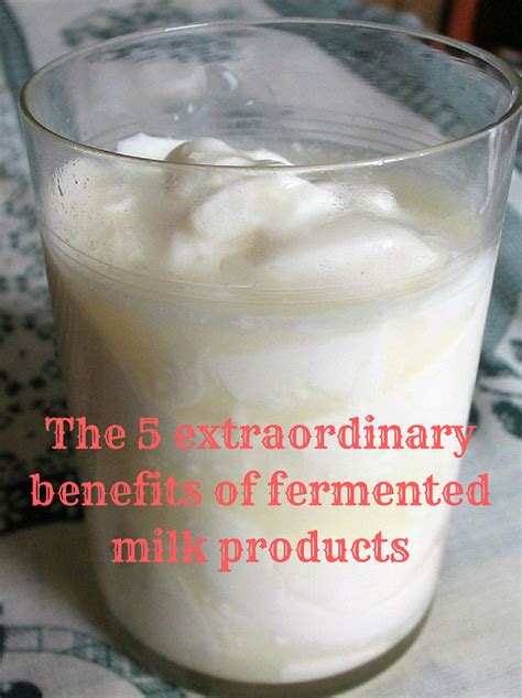 The 5 extraordinary benefits of fermented milk products - ONEjive.com