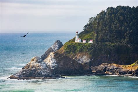 Your Guide to the Oregon Coast Lighthouses - The Inn at Otter Crest