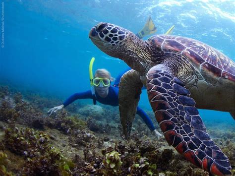 Snorkeling Hawaii | The best snorkeling spots in Hawaii