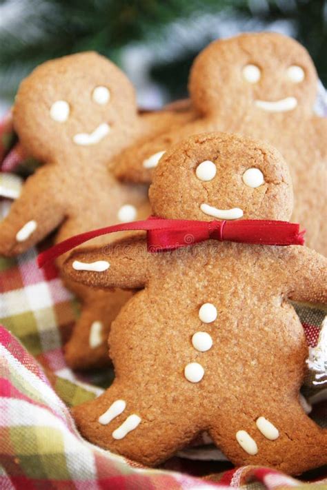 Ginger bread stock image. Image of christmas, sugar, holiday - 12232777