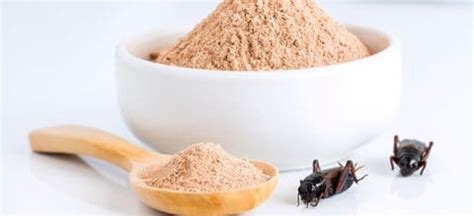 Cricket Flour Nutrition Facts, Benefits vs. Risks - Dr. Axe