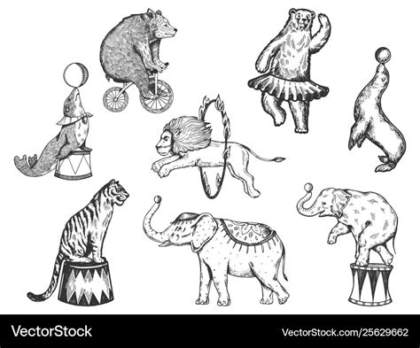 Retro circus animals performance set sketch Vector Image