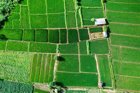 Rice field ,Aerial view of rice fields | Nature Stock Photos ~ Creative ...