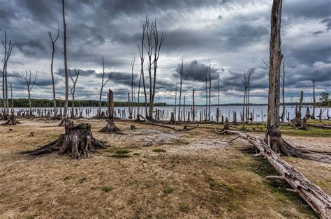 Climate Change Could Drastically Change Ecosystems Around the World | Live Science