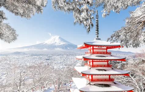 Wallpaper winter, snow, trees, branches, mountain, the volcano, Japan, Fuji, pagoda, Japan ...