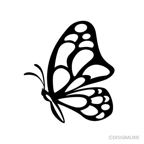 Black And White Butterfly Artwork