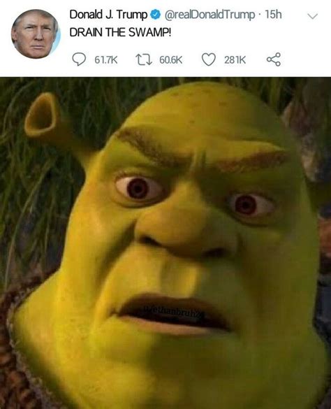 Shrek Memes Have Layers Like An Onion - Shrek | Memes